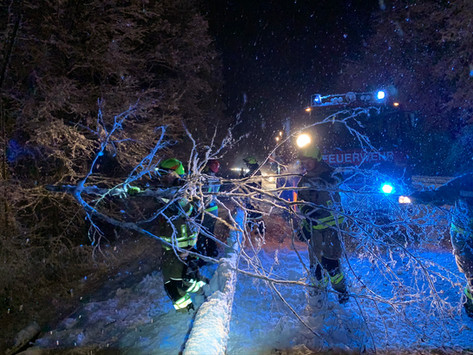 Schneechaos Ende Februar