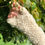 Thumbnail: Stylish woolen gloves, winter essential.