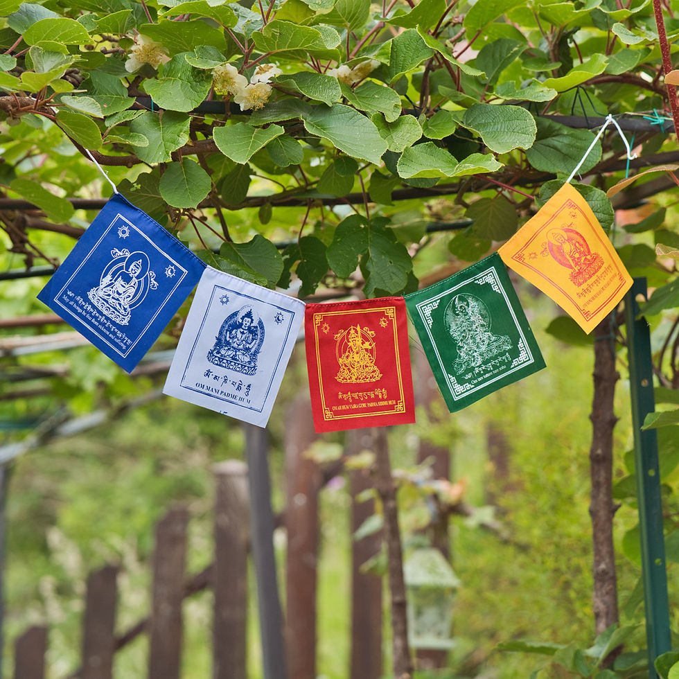 Miniatura: Bandiere di preghiera tibetane colorate tese all'aperto tra rami d'albero e verde.