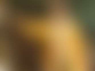 yellow om kimono 