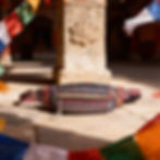 Marsupio giallo e rosso su terreno di pietra, in un tradizionale cortile.