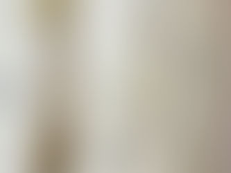 Banyo Niş Modelleri: Fonksiyonellik ve Estetiği Bir Araya Getirin