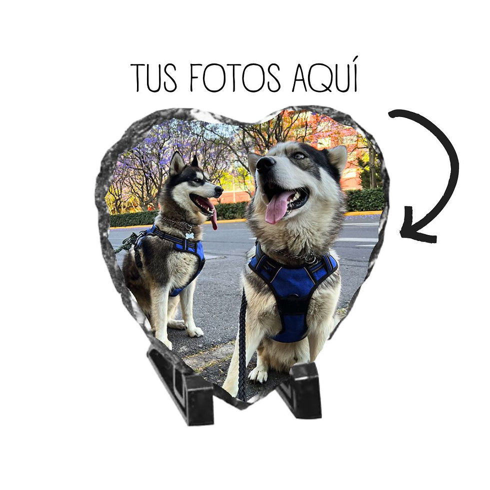 Portarretrato de Corazón de Piedra