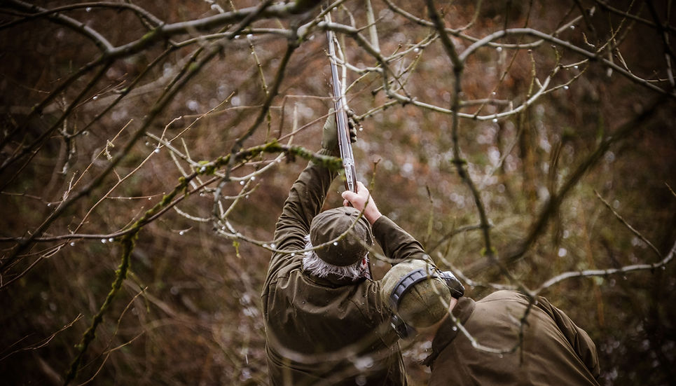 Driven Pheasant Shooting Scotland