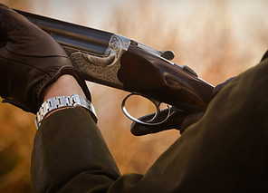Driven Pheasant Shooting Scotland