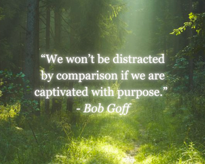 Comparison, the thief of joy