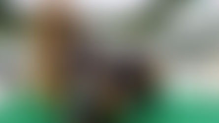 November 2018, The Salvation Army • Family Adventure 2018