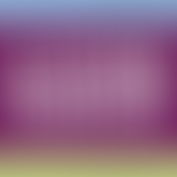 Get to Know Our Partner: UPMC 
