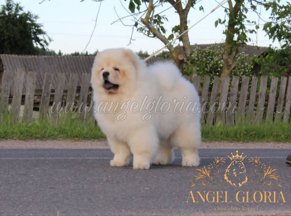 Unbelievable Miracle Angel Gloria, 4 months old