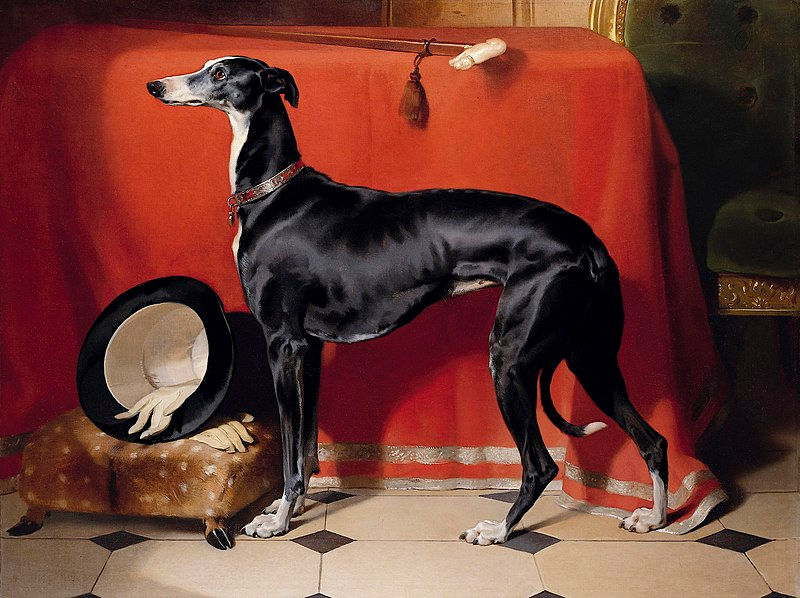 Sir Edwin Landseer (1803-73) - Eos - RCIN 403219 - Royal Collection
