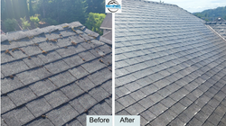 Roof.Cleaning Before and After Pictures 5