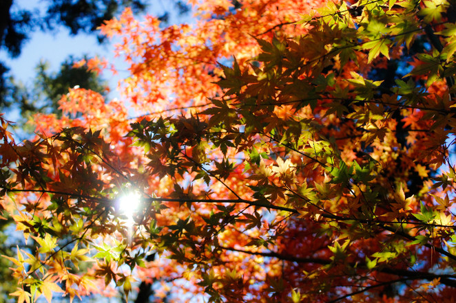 Shining Light: A Guilty Caregiver's Story