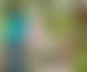 Caregiver-Challenged: What does Grief have to do with it?