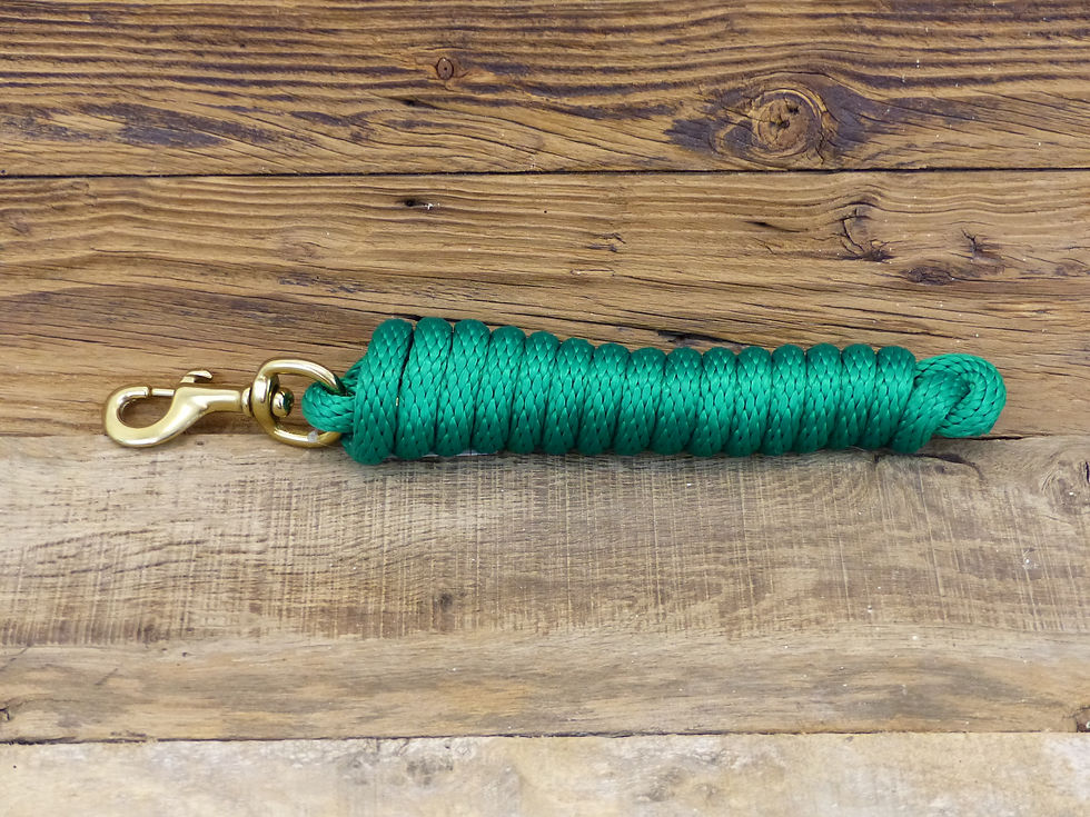 Miniature : Longe Nylon avec mousqueton