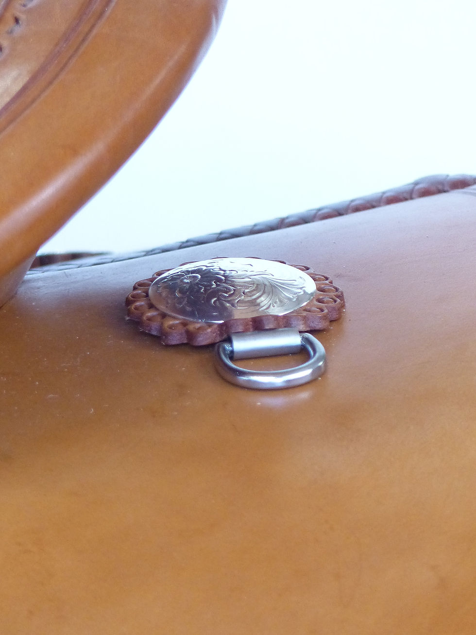 Miniature : Lacets de Selle