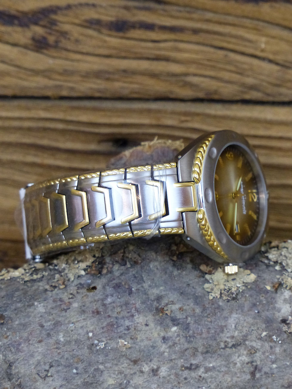 Miniature : Montre Homme Bicolore