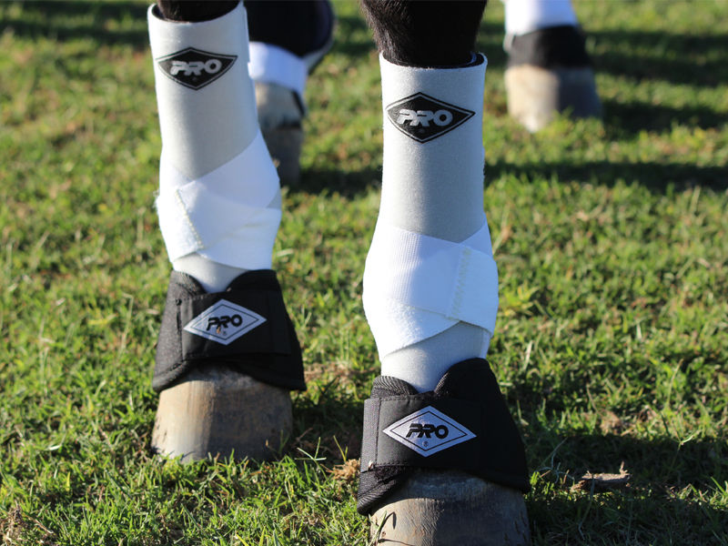 Miniature : Guêtres fermées Taille M en Néoprène