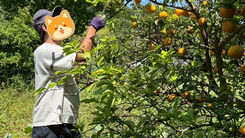 庄内の庭メンテナンスを受けました