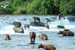 Katmai National Park, Bristol Bay