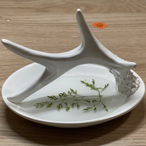 Ring holder/ Jewelry Dish