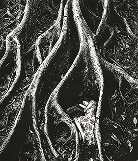 magnific__char1-in-scratchboard-white-on-black-fine-linework__52744 copy.png
