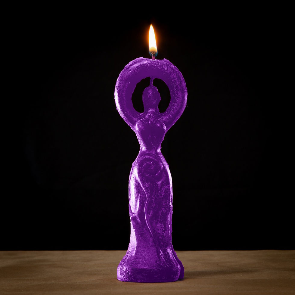 Miniatura: DIOSA UNIVERSAL