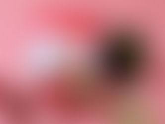 手工人氣甜點到齊！台北老爺新春禮盒早鳥優惠買多省多