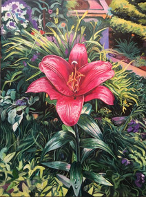Park Lily