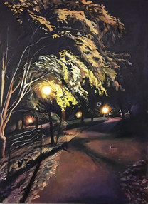 Night Park