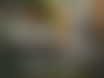 Homeownership Brings Stability!