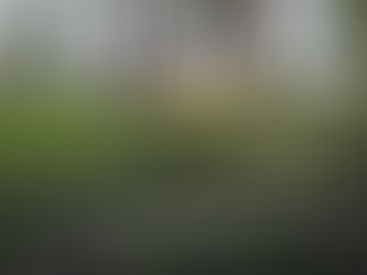 The Power of Curb Appeal This Spring!