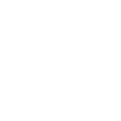 visual logo-02.png