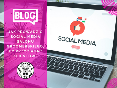 Jak prowadzić social media salonu groomerskiego, by przyciągać klientów?