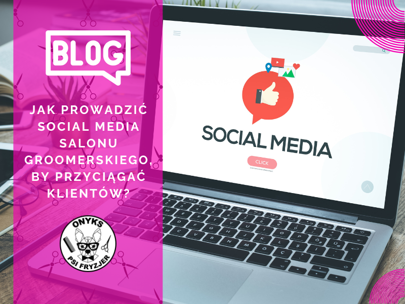 Jak prowadzić social media salonu groomerskiego, by przyciągać klientów?