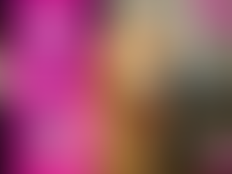 Spokojna pielęgnacja – jak pomagamy psom pokonać lęk przed wizytą u groomera