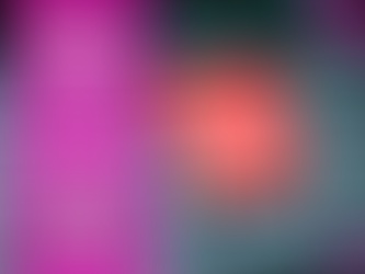 Jak przebiega proces rezerwacji wizyty w Onyks Psi Fryzjer?