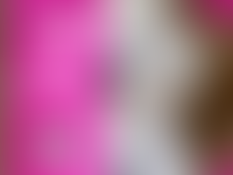 Pielęgnacja Maltańczyka