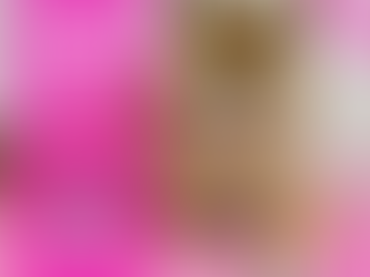 🐾 Jak przygotować psa do pierwszej wizyty u groomera? Poradnik dla właścicieli (psi fryzjer Warszawa)