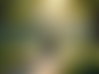 The Maharishi Effect: A Journey into Collective Consciousness