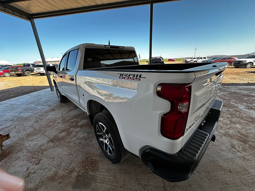 Miniatura: Chevrolet Silverado Trail Boss 2019