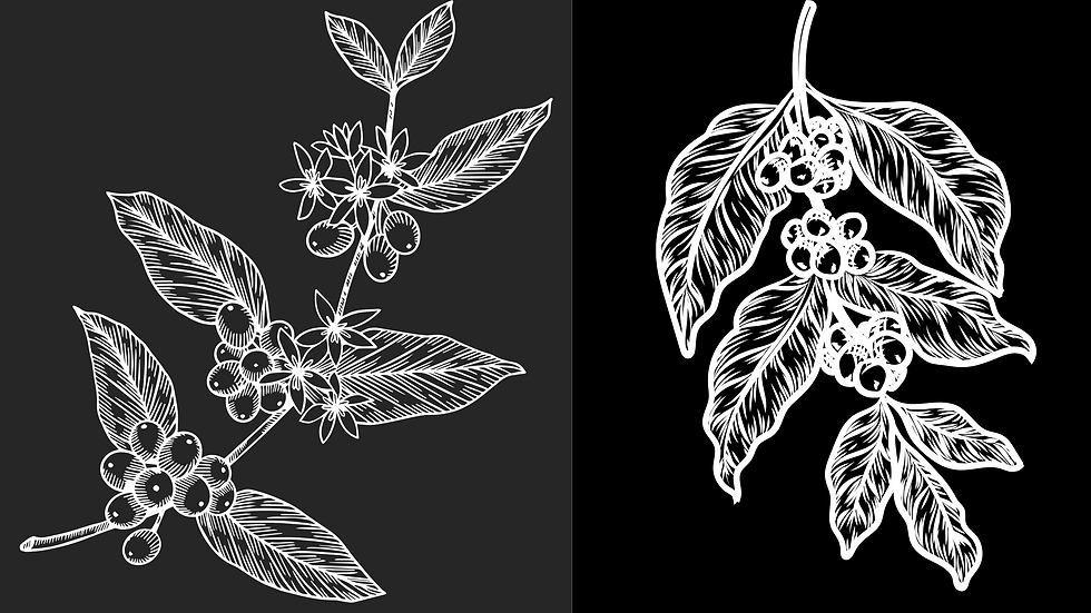Untitled design - 2025-04-30T113513.740.png