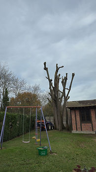 20251113_124014.jpg