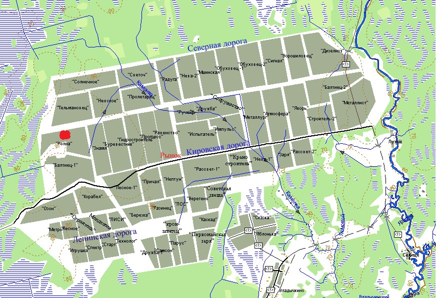 мшинская ленинградская область лужский