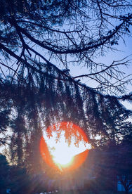 Jiayin Zou - Evening.jpeg