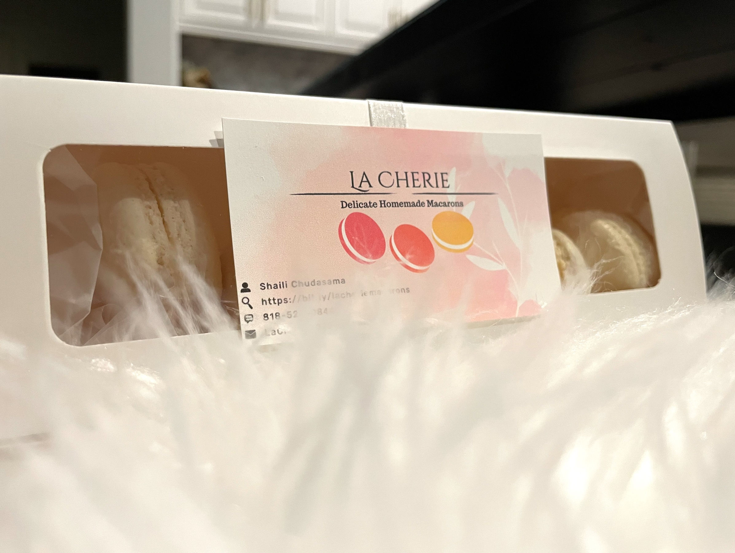 Vanilla Macarons (12)