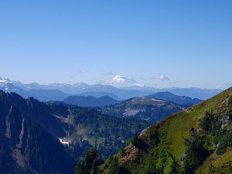 2020 Couldn't Shake Me