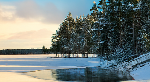 upeat jäätyneet järvivedet metsän taustalla