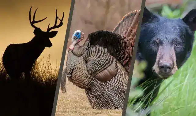 2023 Fall Big Game Hunting