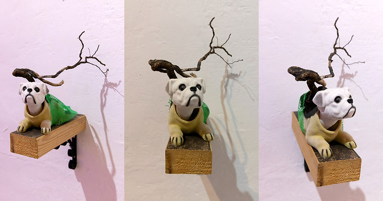 קרדיט צילום ענבל כהן חמו (29) copy.jpg