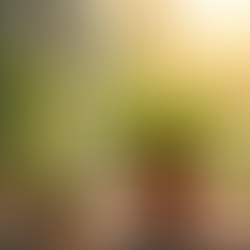 Segredos de Cura da Casa Segundo Santa Hildegarda